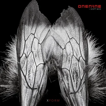 XFORM by onenine - album cover