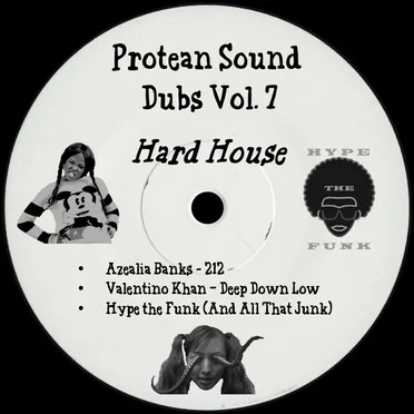 Protean Sound Dubs Vol. 7 (Hard House)