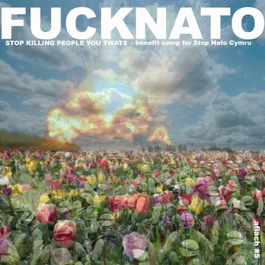 Stop Killing People You Twats – Benefit Comp for Stop Nato Cymru by Various Artists - album cover