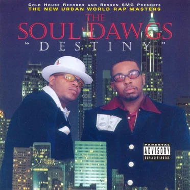 Destiny by The Soul Dawgs - album cover