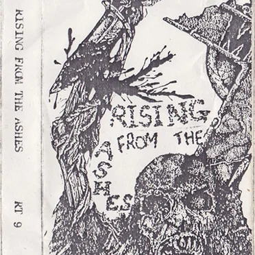 Rising From the Ashes by Various Artists - album cover
