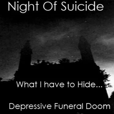 What I Have to Hide... by Night Of Suicide - album cover