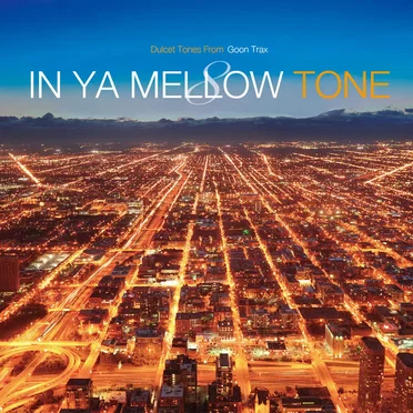 IN YA MELLOW TONE 8 by Various Artists - album cover