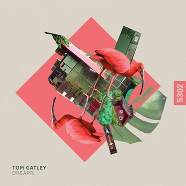 Dreams by Tom Gatley - album cover