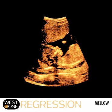 Regression by Alistair Hawkins - album cover