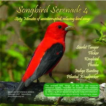 Songbird Serenade 4 by [nature sounds] - album cover