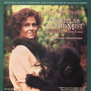 Gorillas in the Mist