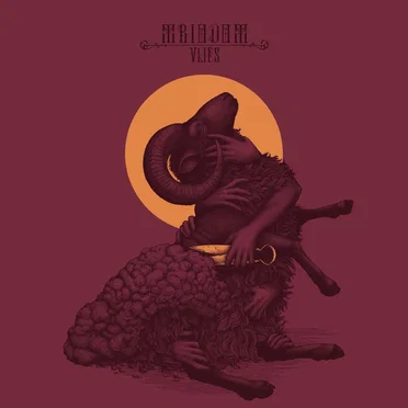 Vlies by Mriodom - album cover