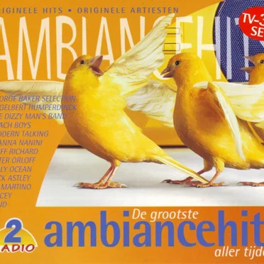 De grootste ambiancehits aller tijden by Various Artists - album cover