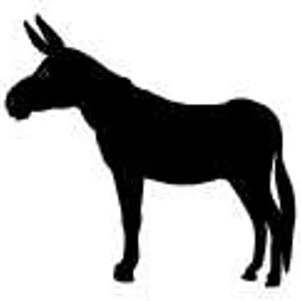 Coffin Mule