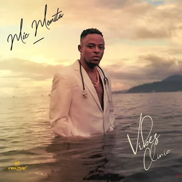 Vibes Clinic by Mic Monsta - album cover