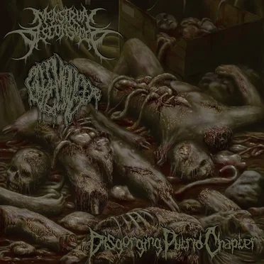 Disgorging Putrid Chapter by Menstrual Disconsumed - album cover