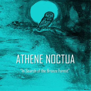 In Search of the Bronze Forest