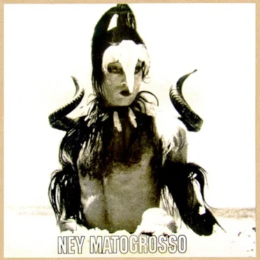 Água do céu – Pássaro