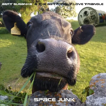 Space Junk by Bert Susanka & The Astronaut Love Triangle - album cover