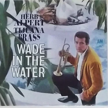 Wade in the Water