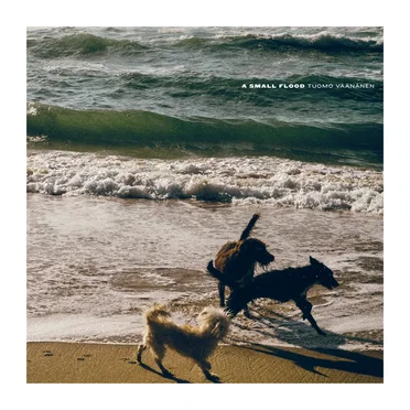 A Small Flood by Tuomo Väänänen - album cover