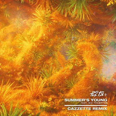 Summer's Young (Cazzette remix)