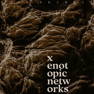 xenotopic networks