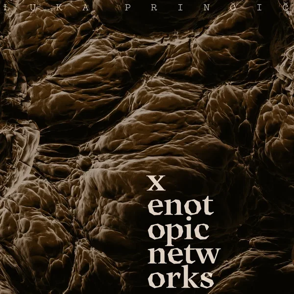 xenotopic networks