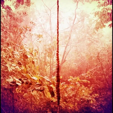 Enchanted Hallways by Nick Barbachano - album cover