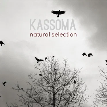 Natural Selection
