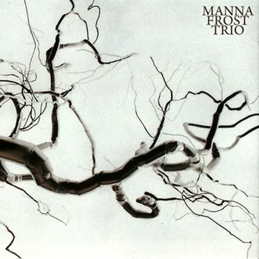 Manna Frost Trio