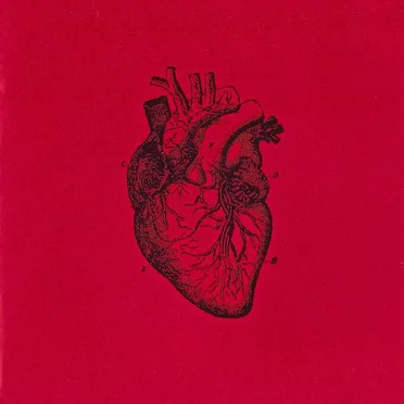 A Loud Heart