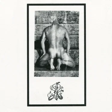 Blush on Stone by The Arno - album cover