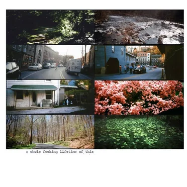 A Whole Fucking Lifetime of This by American Pleasure Club - album cover