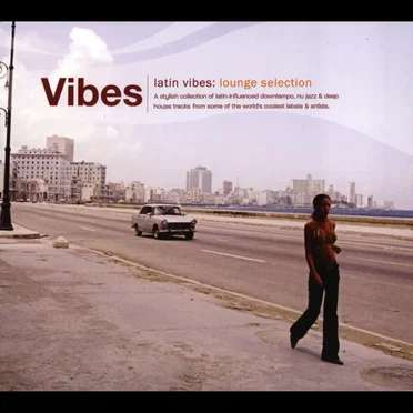 Vibes: Latin Vibes Lounge Selection by Various Artists - album cover