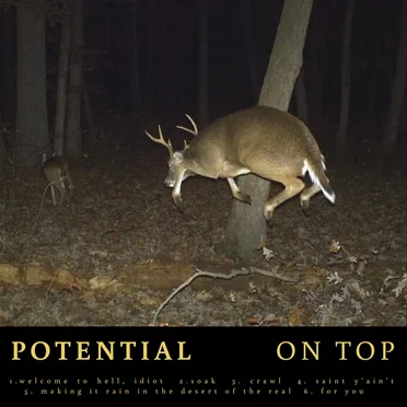 On Top by Potential - album cover