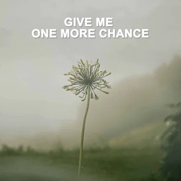 Give Me One More Chance by Various Artists - album cover