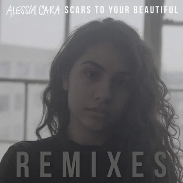Scars to Your Beautiful (remixes)