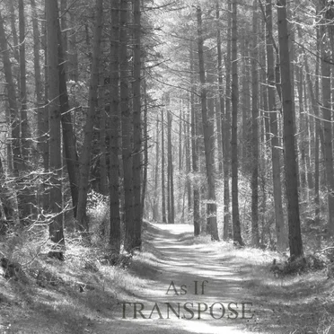 Transpose