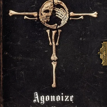 Reborn in Darkness: The Bloody Years 2003-2014 by Agonoize - album cover