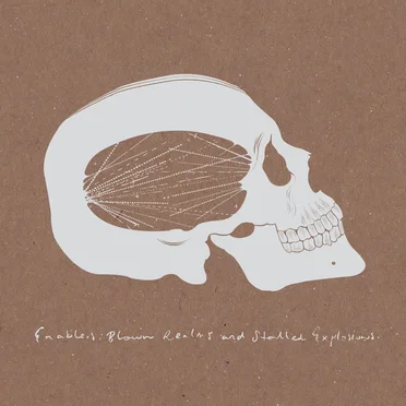 Blown Realms and Stalled Explosions by Enablers - album cover