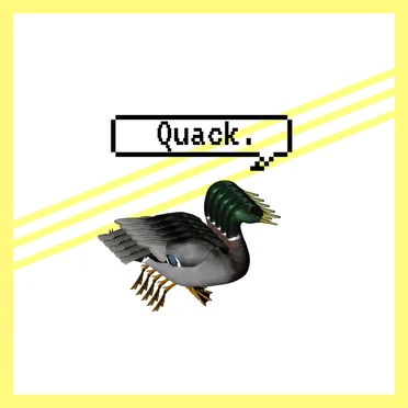 Quack