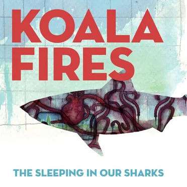 Koala Fires