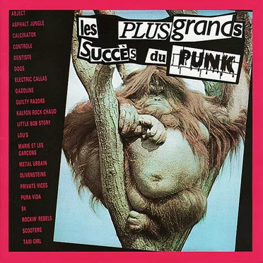 Les plus grands succès du punk by Various Artists - album cover