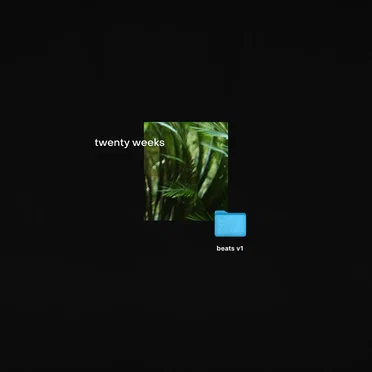 beats v1 by Twenty Weeks - album cover