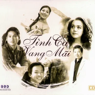 Tình ca vang mãi by Various Artists - album cover