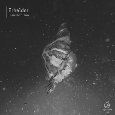 Flamingo Trax by Erhalder - album cover