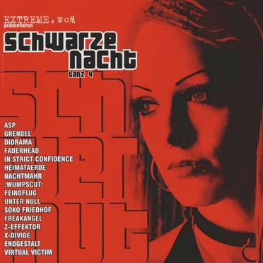 Schwarze Nacht, Tanz 4 by Various Artists - album cover
