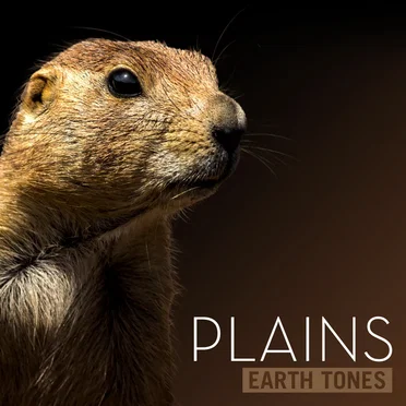 Plains
