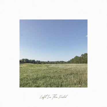 Left in the Field