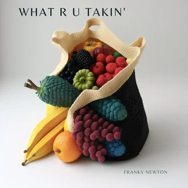 What R U Takin’ by Franky Newton - album cover
