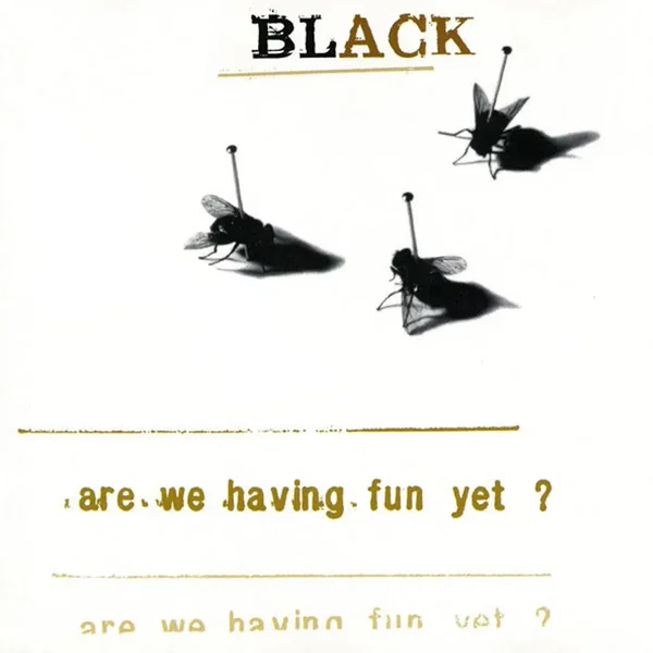 Are We Having Fun Yet?