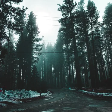 The Isolation Concerts, Volume 3