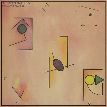 The Vinyl Box